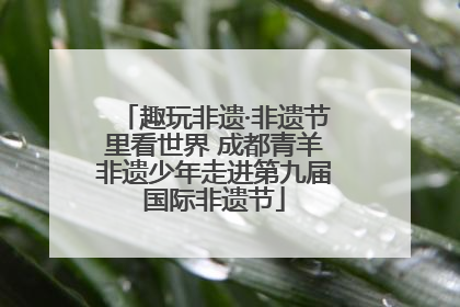 趣玩非遗·非遗节里看世界 成都青羊非遗少年走进第九届国际非遗节
