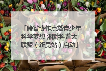 跨省协作点燃青少年科学梦想 湘黔科普大联盟（新晃站）启动