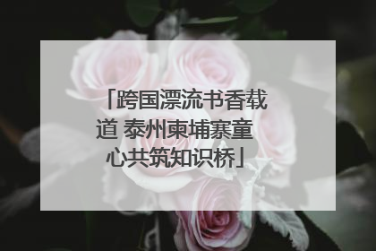跨国漂流书香载道 泰州柬埔寨童心共筑知识桥