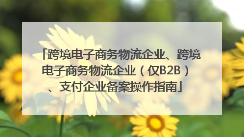 跨境电子商务物流企业、跨境电子商务物流企业（仅B2B）、支付企业备案操作指南