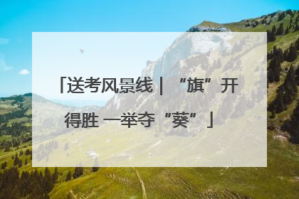 送考风景线｜“旗”开得胜 一举夺“葵”