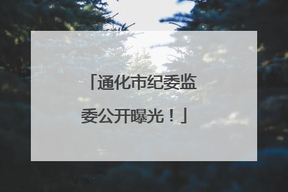 通化市纪委监委公开曝光！