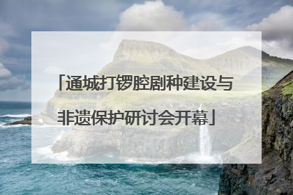 通城打锣腔剧种建设与非遗保护研讨会开幕