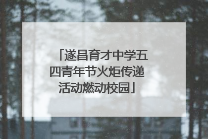 遂昌育才中学五四青年节火炬传递活动燃动校园