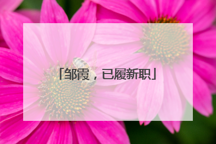 邹霞，已履新职