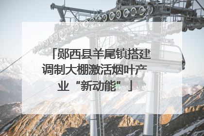 郧西县羊尾镇搭建调制大棚激活烟叶产业“新动能”