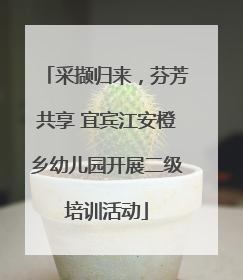 采撷归来，芬芳共享 宜宾江安橙乡幼儿园开展二级培训活动