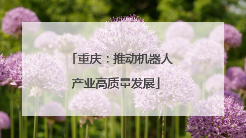 重庆：推动机器人产业高质量发展