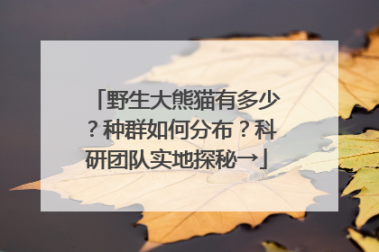 野生大熊猫有多少？种群如何分布？科研团队实地探秘→