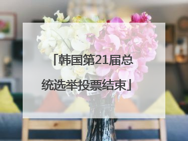 韩国第21届总统选举投票结束