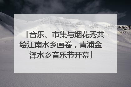 音乐、市集与烟花秀共绘江南水乡画卷，青浦金泽水乡音乐节开幕