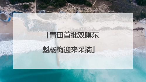 青田首批双膜东魁杨梅迎来采摘