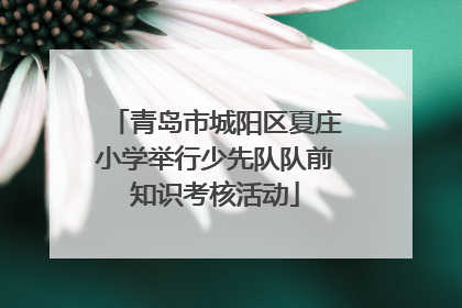 青岛市城阳区夏庄小学举行少先队队前知识考核活动