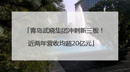 青岛武晓集团冲刺新三板！近两年营收均超20亿元