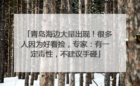 青岛海边大量出现！很多人因为好看捡，专家：有一定毒性，不建议手碰