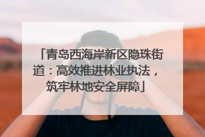 青岛西海岸新区隐珠街道：高效推进林业执法，筑牢林地安全屏障