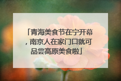 青海美食节在宁开幕，南京人在家门口就可品尝高原美食啦