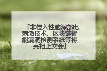 非侵入性脑深部电刺激技术、区块链智能漏洞检测系统等将亮相上交会