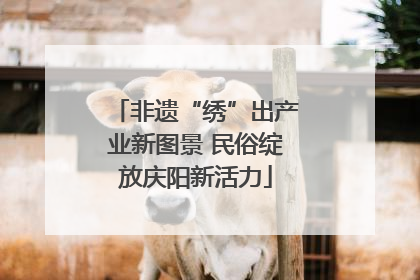 非遗“绣”出产业新图景 民俗绽放庆阳新活力