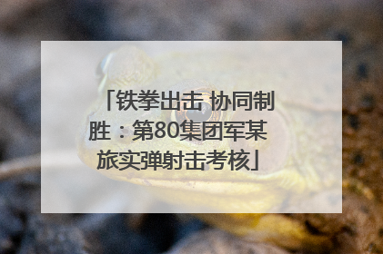 铁拳出击 协同制胜：第80集团军某旅实弹射击考核