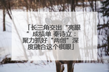 长三角交出“亮眼”成绩单 秦诗立：聚力抓好“两创”深度融合这个棋眼