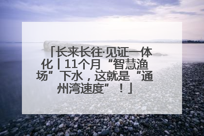 长来长往·见证一体化丨11个月“智慧渔场”下水，这就是“通州湾速度”！