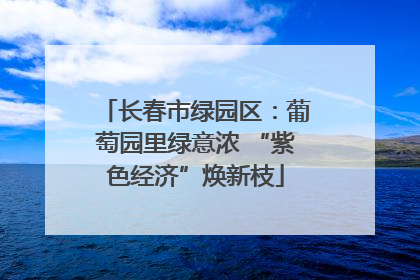 长春市绿园区：葡萄园里绿意浓 “紫色经济”焕新枝