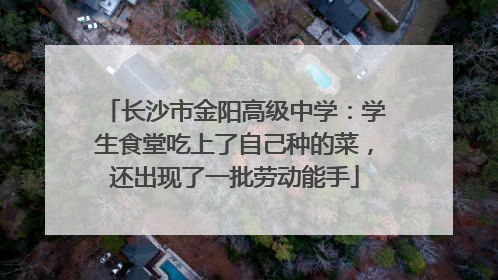 长沙市金阳高级中学：学生食堂吃上了自己种的菜，还出现了一批劳动能手