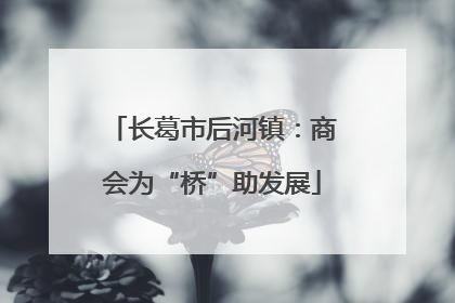 长葛市后河镇：商会为“桥”助发展
