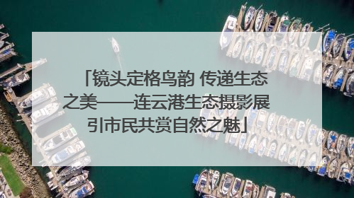 镜头定格鸟韵 传递生态之美——连云港生态摄影展引市民共赏自然之魅