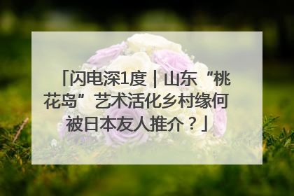 闪电深1度｜山东“桃花岛”艺术活化乡村缘何被日本友人推介？