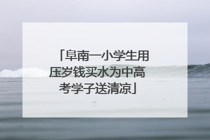阜南一小学生用压岁钱买水为中高考学子送清凉