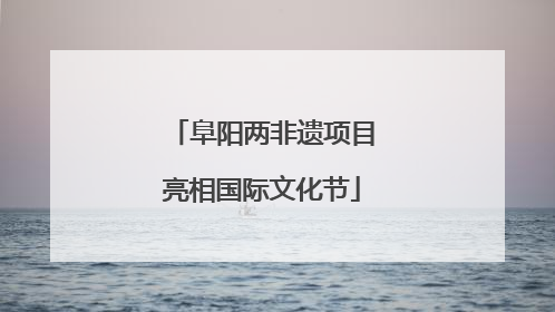 阜阳两非遗项目亮相国际文化节