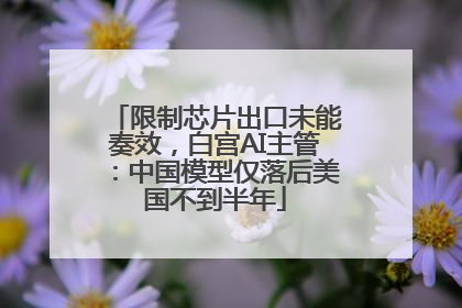 限制芯片出口未能奏效，白宫AI主管：中国模型仅落后美国不到半年