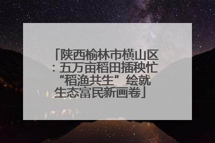 陕西榆林市横山区：五万亩稻田插秧忙 “稻渔共生”绘就生态富民新画卷