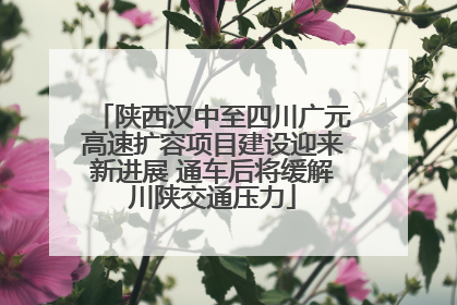 陕西汉中至四川广元高速扩容项目建设迎来新进展 通车后将缓解川陕交通压力