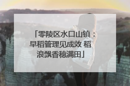 零陵区水口山镇：早稻管理见成效 稻浪飘香穗满田
