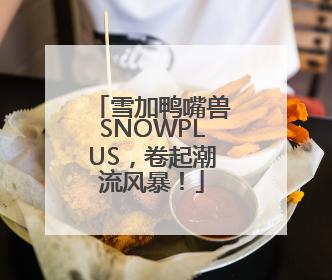 雪加鸭嘴兽SNOWPLUS，卷起潮流风暴！