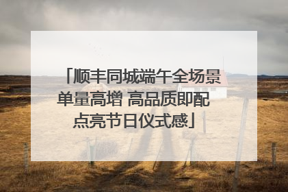 顺丰同城端午全场景单量高增 高品质即配点亮节日仪式感