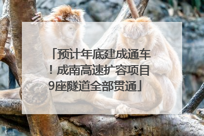 预计年底建成通车！成南高速扩容项目9座隧道全部贯通