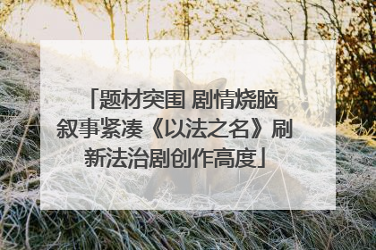 题材突围 剧情烧脑 叙事紧凑《以法之名》刷新法治剧创作高度