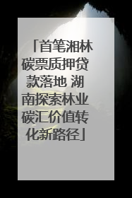 首笔湘林碳票质押贷款落地 湖南探索林业碳汇价值转化新路径