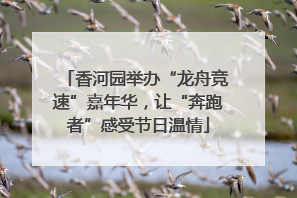 香河园举办“龙舟竞速”嘉年华，让“奔跑者”感受节日温情