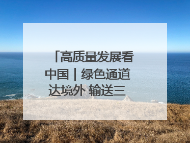 高质量发展看中国｜绿色通道达境外 输送三江“一口鲜”