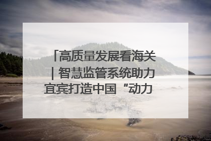 高质量发展看海关｜智慧监管系统助力宜宾打造中国“动力电池之都”