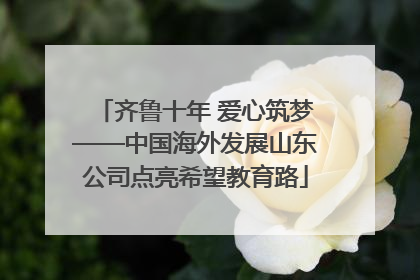 齐鲁十年 爱心筑梦——中国海外发展山东公司点亮希望教育路