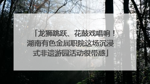 龙狮跳跃、花鼓戏唱响！湖南有色金属职院这场沉浸式非遗游园活动很带感