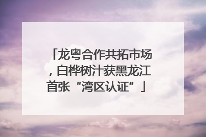 龙粤合作共拓市场，白桦树汁获黑龙江首张“湾区认证”