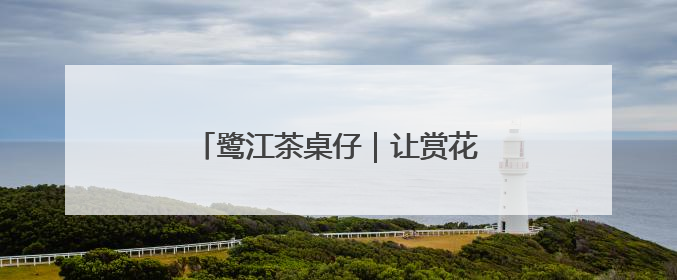 鹭江茶桌仔｜让赏花经济“四季花开”
