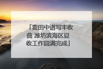 麦田中谱写丰收曲 潍坊滨海区夏收工作圆满完成